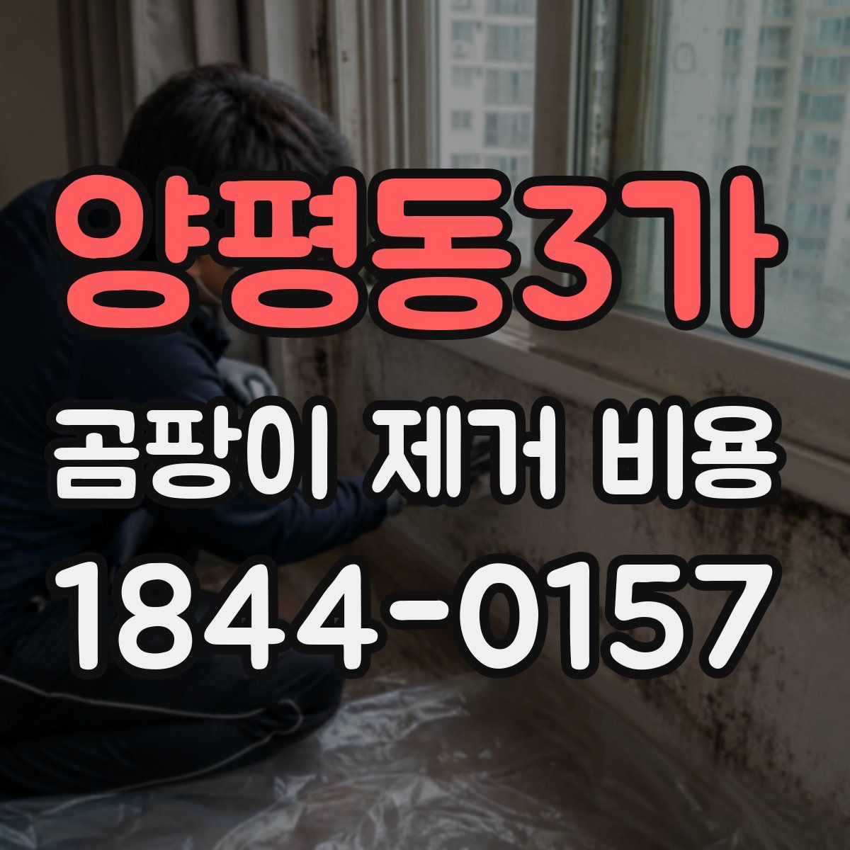 양평동3가 곰팡이 제거 비용