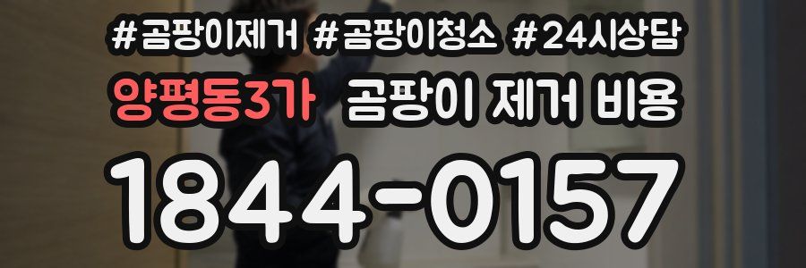 양평동3가 곰팡이 제거 비용