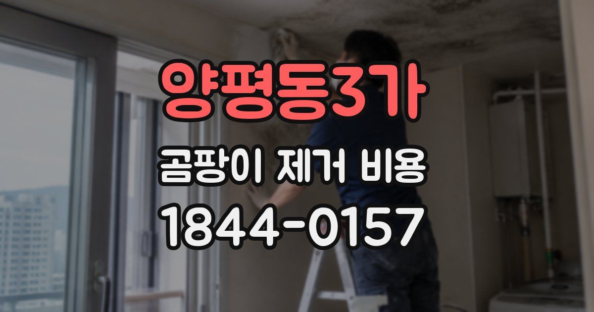 양평동3가 곰팡이 제거 비용