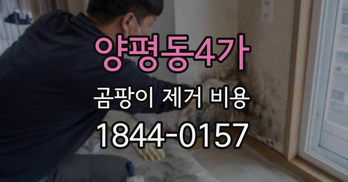 양평동4가 곰팡이 제거 비용
