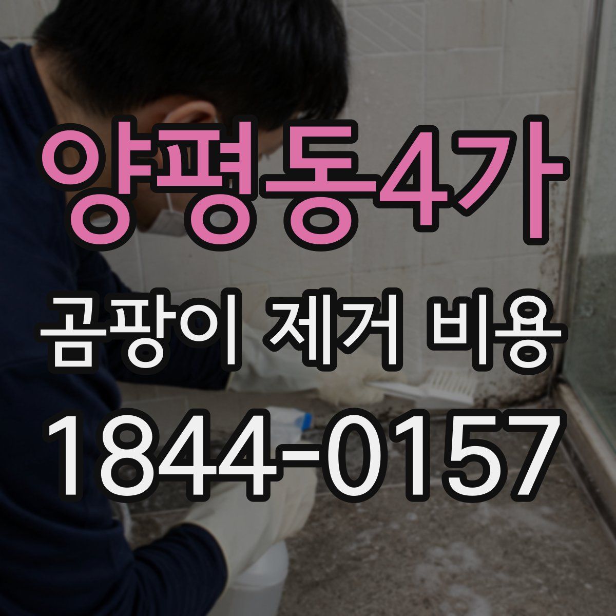 양평동4가 곰팡이 제거 비용