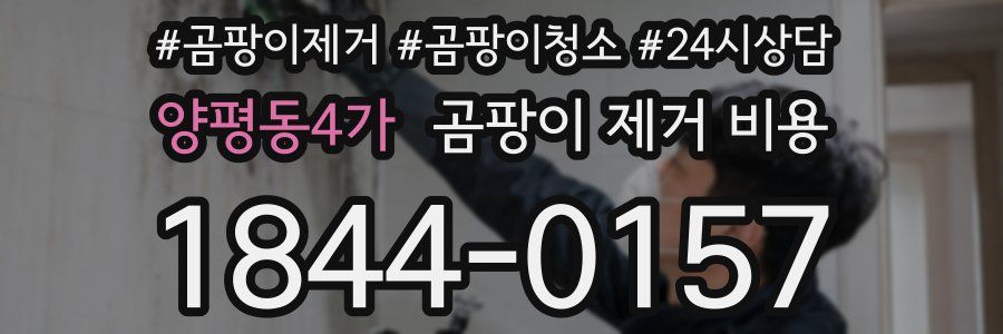 양평동4가 곰팡이 제거 비용