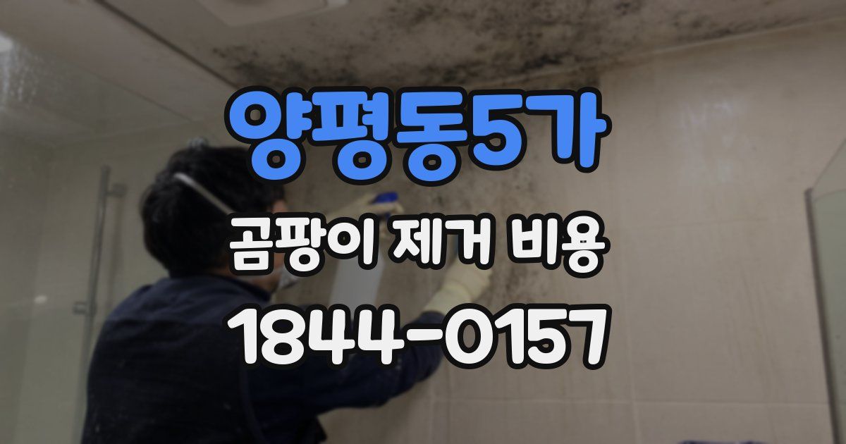 양평동5가 곰팡이 제거 비용