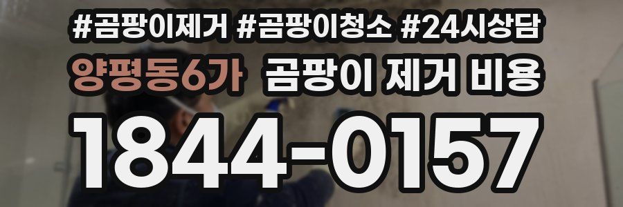 양평동6가 곰팡이 제거 비용