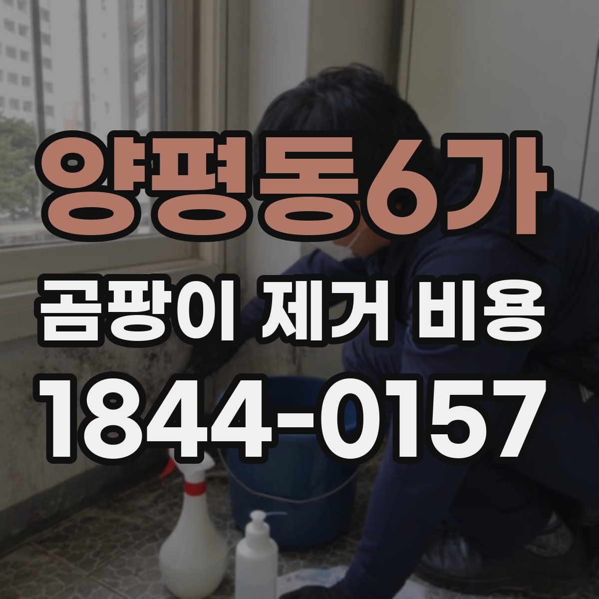 양평동6가 곰팡이 제거 비용