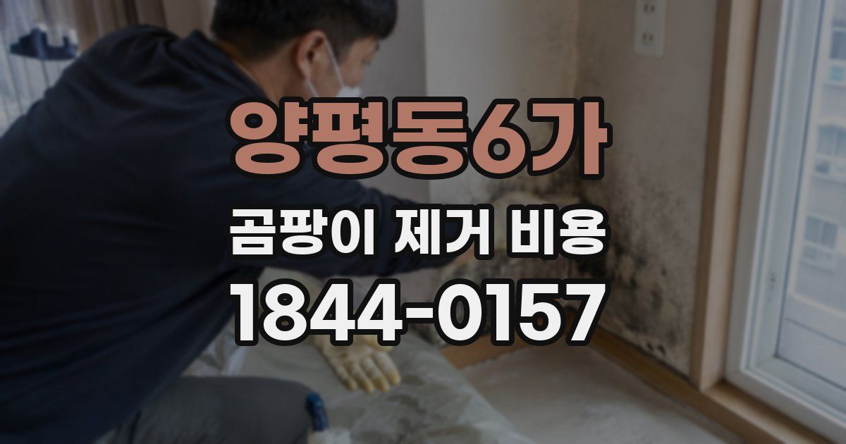 양평동6가 곰팡이 제거 비용