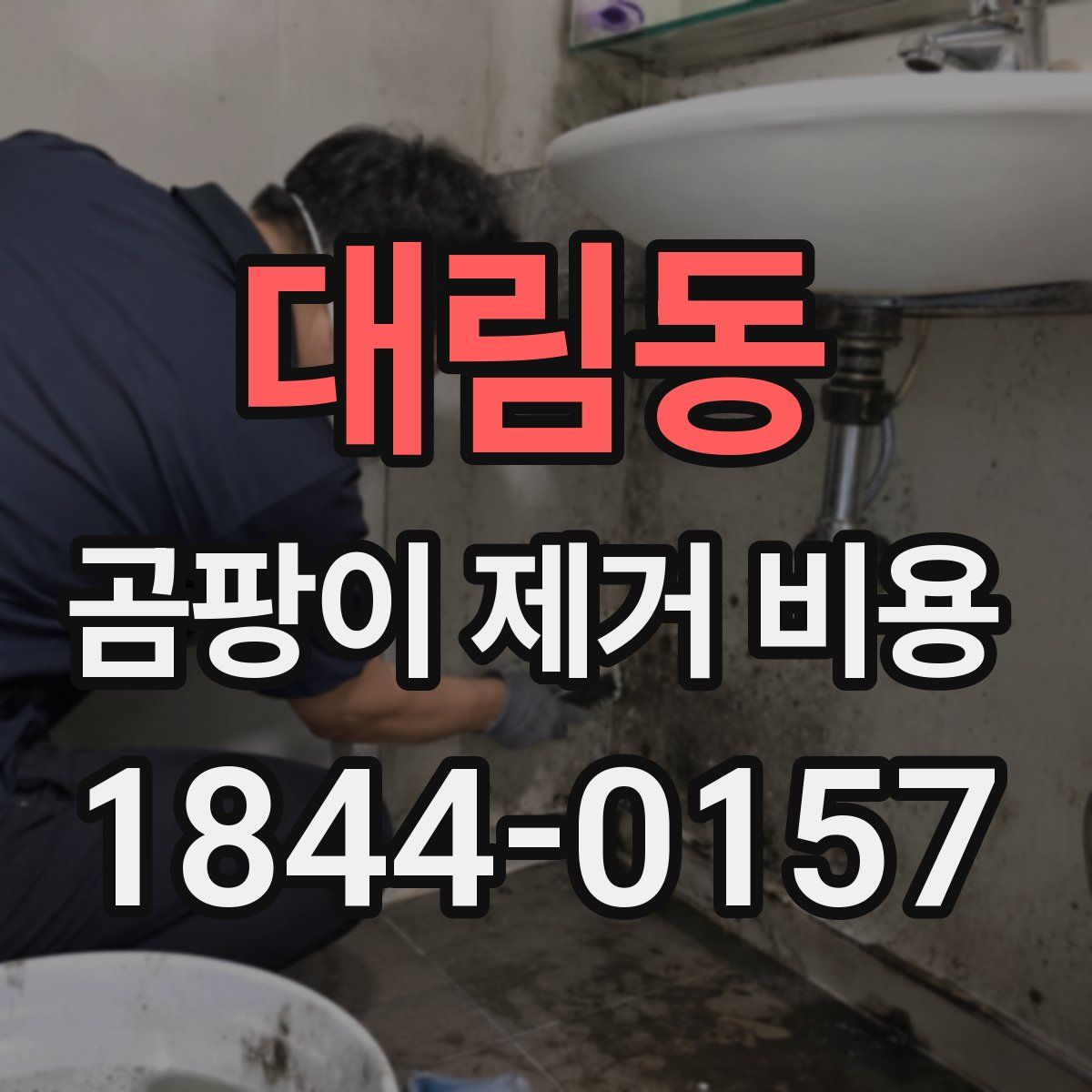 대림동 곰팡이 제거 비용