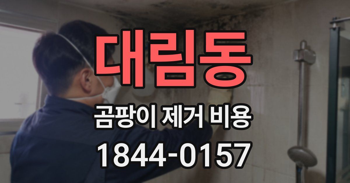 대림동 곰팡이 제거 비용