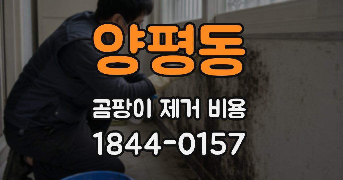 양평동 곰팡이 제거 비용