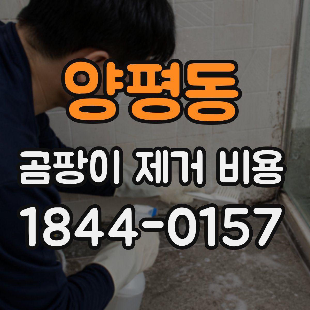 양평동 곰팡이 제거 비용