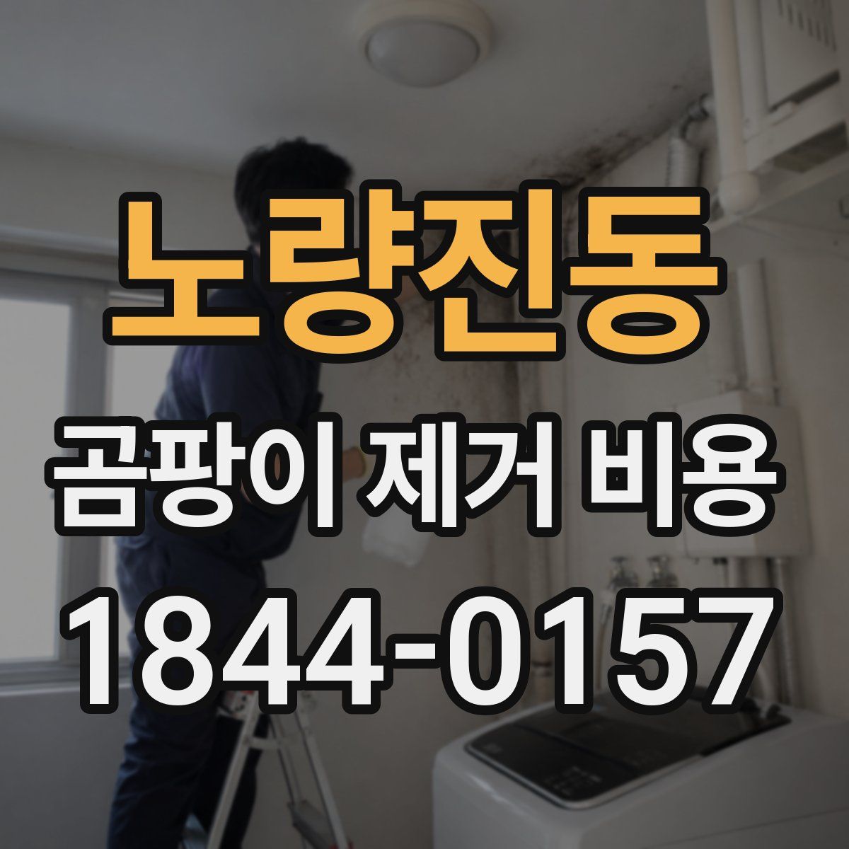 노량진동 곰팡이 제거 비용