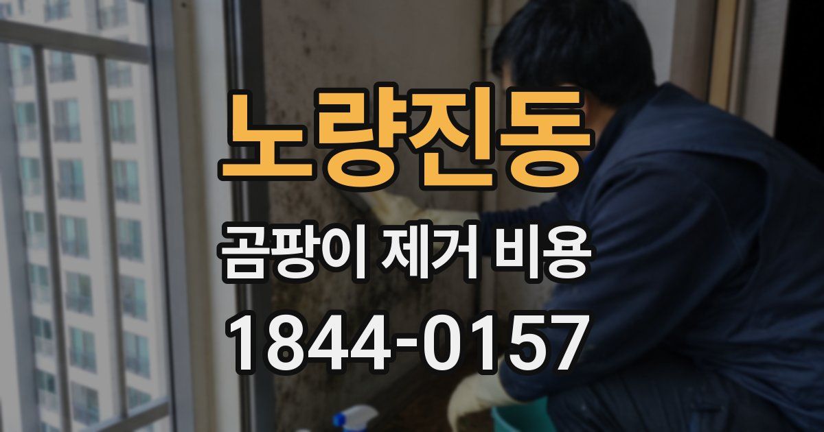 노량진동 곰팡이 제거 비용