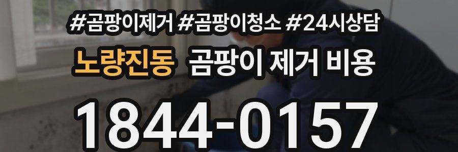 노량진동 곰팡이 제거 비용
