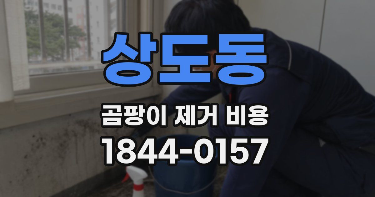 상도동 곰팡이 제거 비용