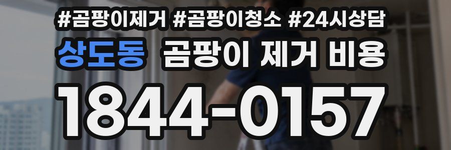 상도동 곰팡이 제거 비용