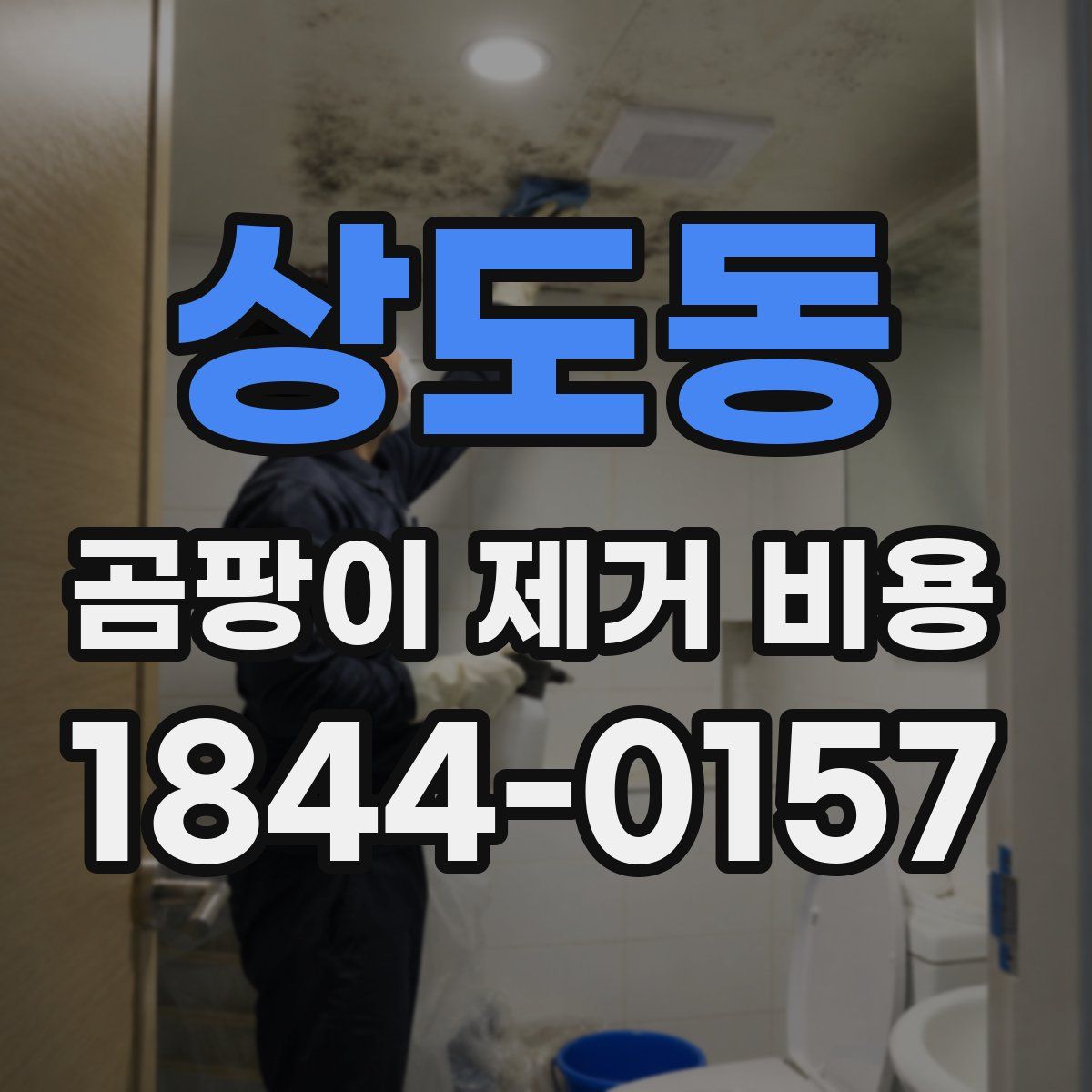 상도동 곰팡이 제거 비용