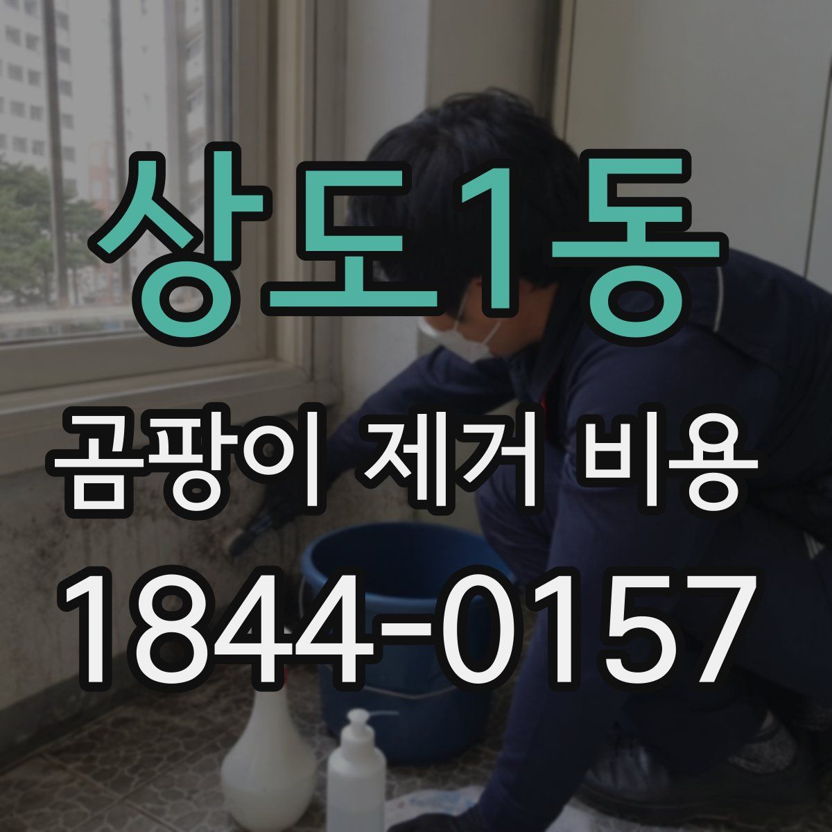 상도1동 곰팡이 제거 비용