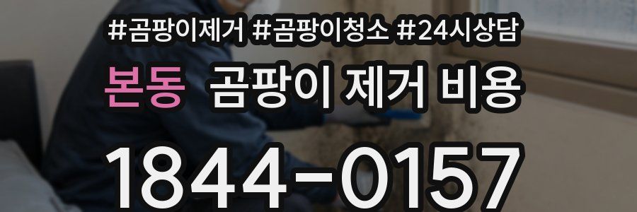 본동 곰팡이 제거 비용