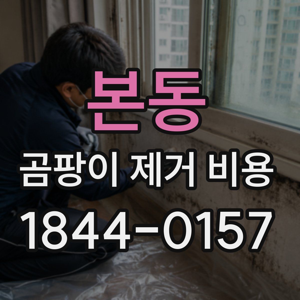 본동 곰팡이 제거 비용