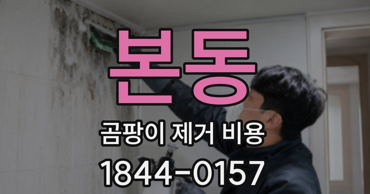 본동 곰팡이 제거 비용