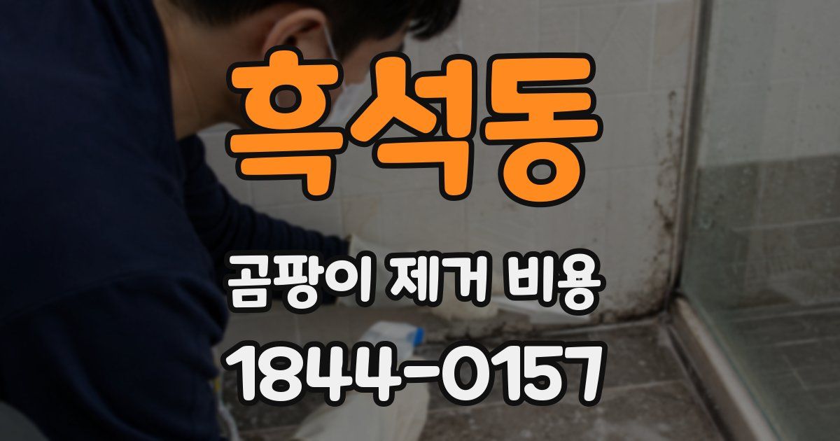 흑석동 곰팡이 제거 비용