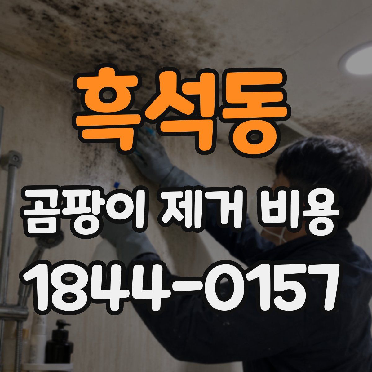 흑석동 곰팡이 제거 비용