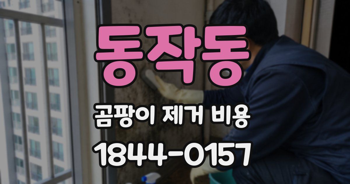 동작동 곰팡이 제거 비용