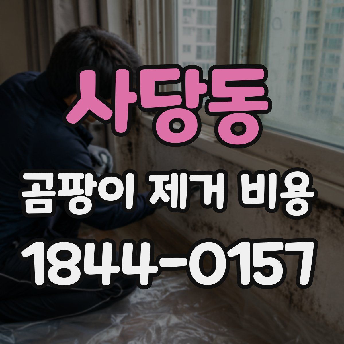 사당동 곰팡이 제거 비용