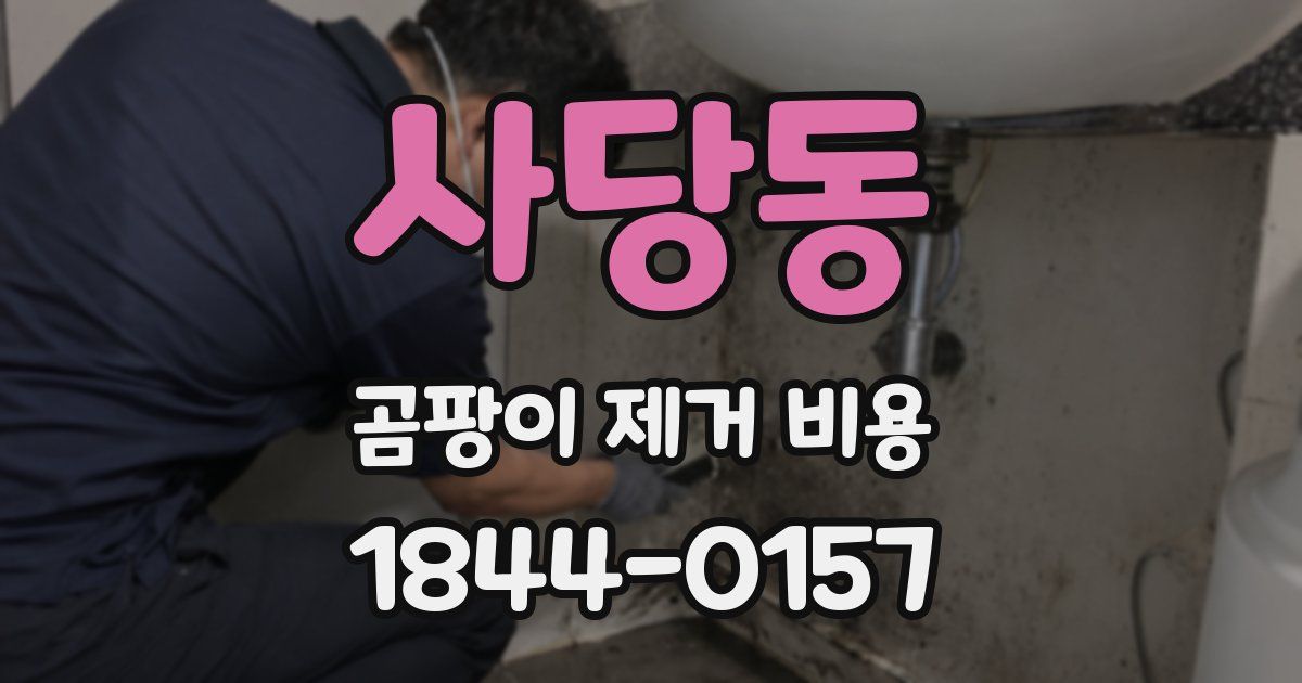 사당동 곰팡이 제거 비용