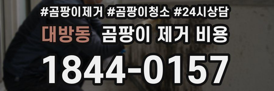 대방동 곰팡이 제거 비용