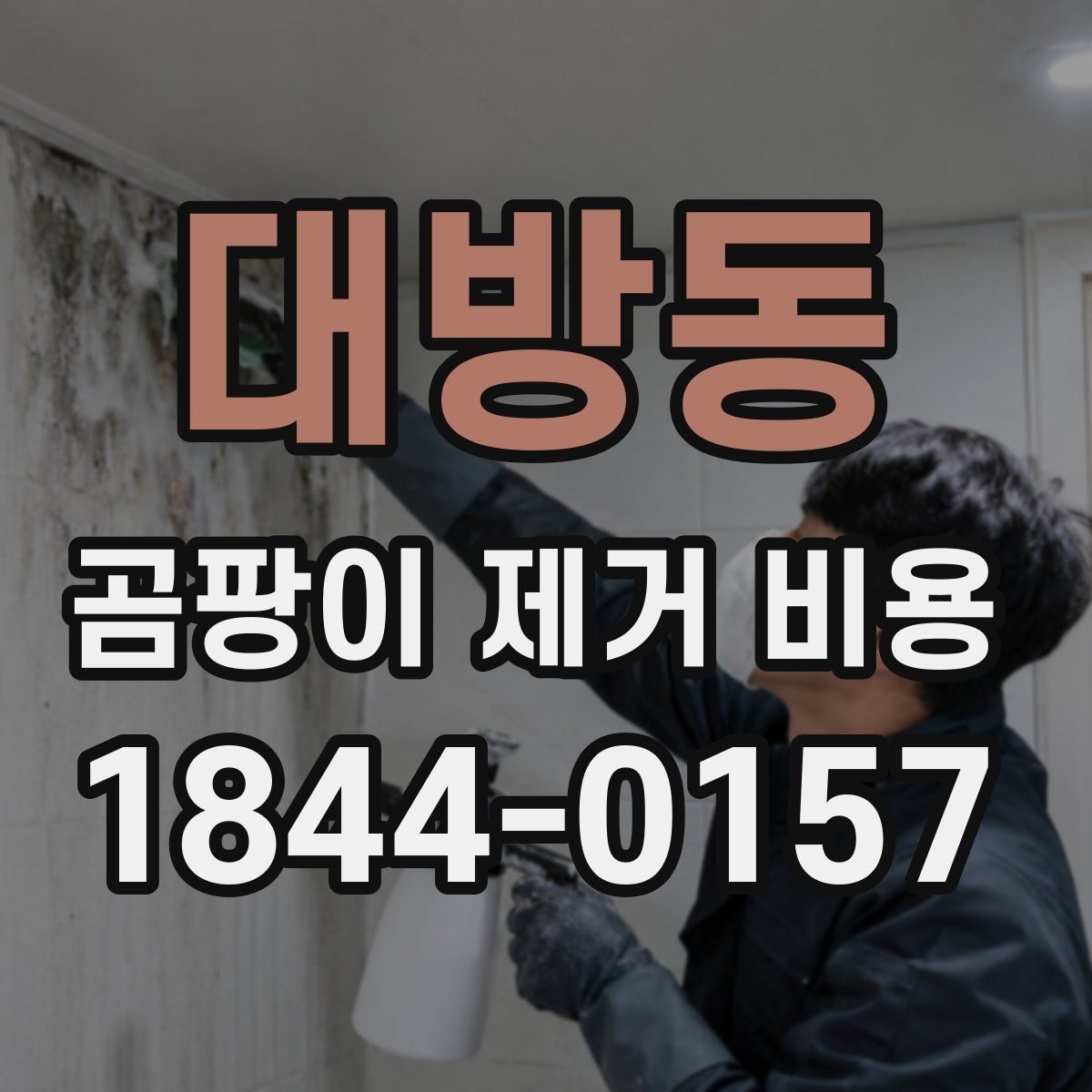 대방동 곰팡이 제거 비용