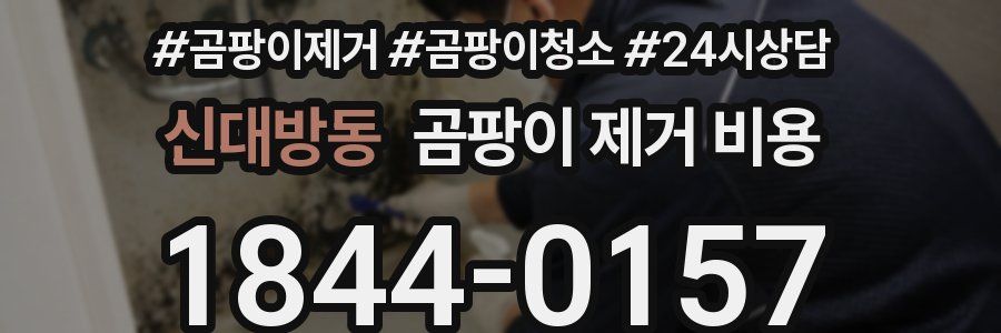 신대방동 곰팡이 제거 비용