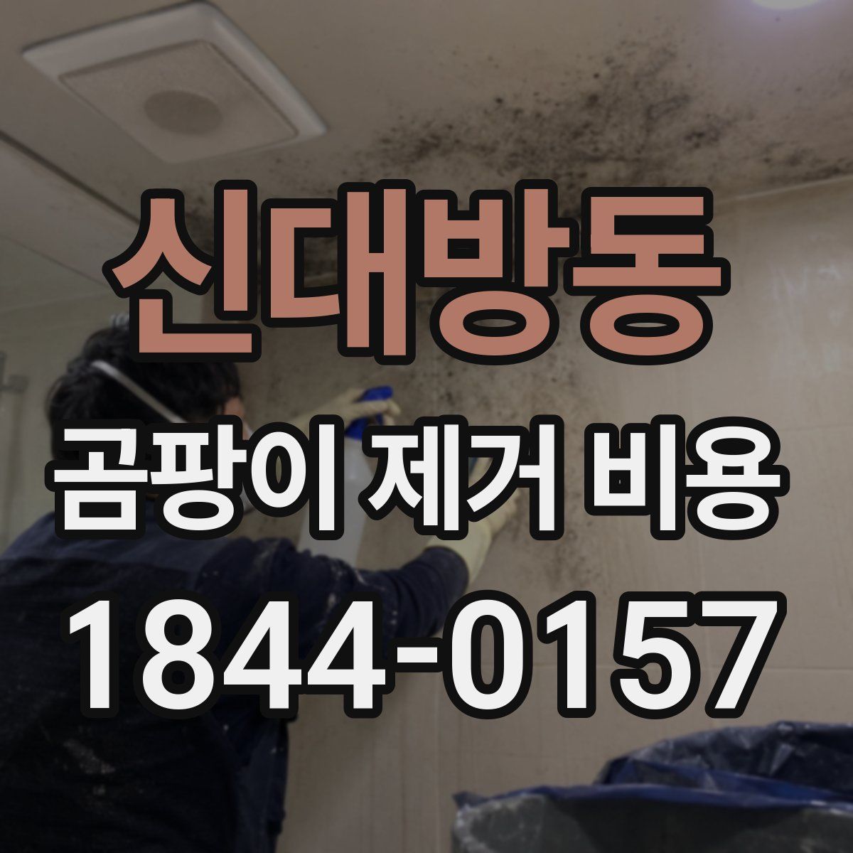 신대방동 곰팡이 제거 비용