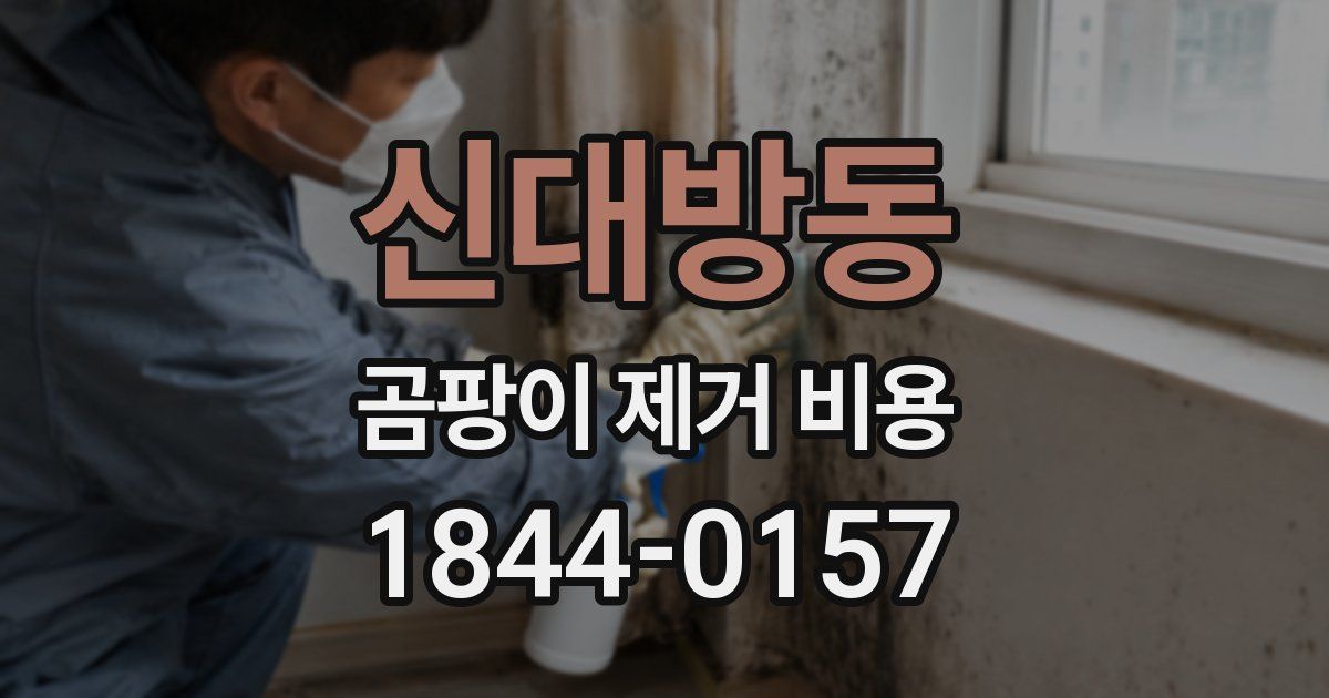 신대방동 곰팡이 제거 비용