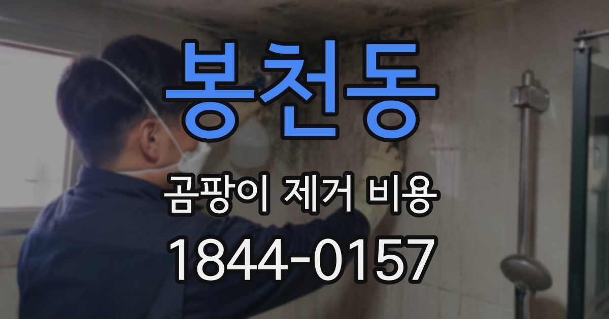봉천동 곰팡이 제거 비용