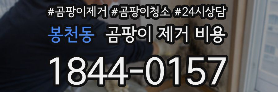 봉천동 곰팡이 제거 비용