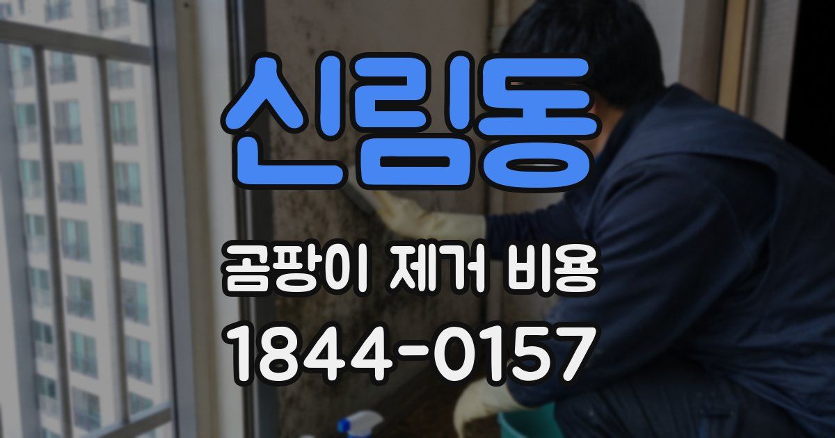 신림동 곰팡이 제거 비용