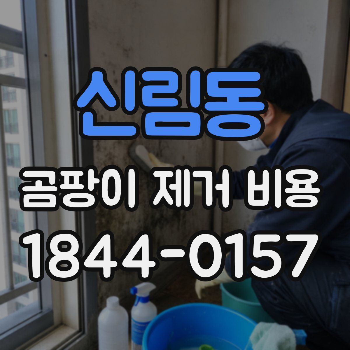 신림동 곰팡이 제거 비용