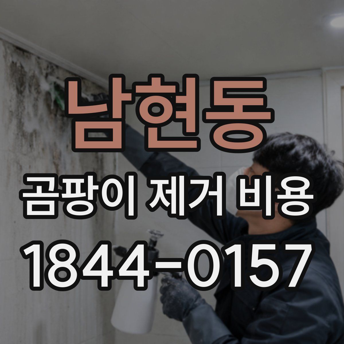 남현동 곰팡이 제거 비용