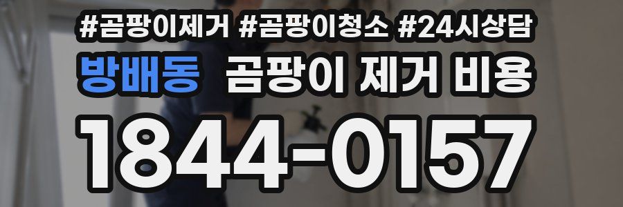 방배동 곰팡이 제거 비용