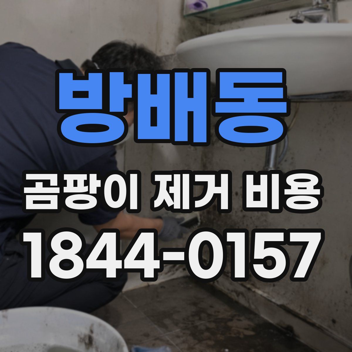 방배동 곰팡이 제거 비용