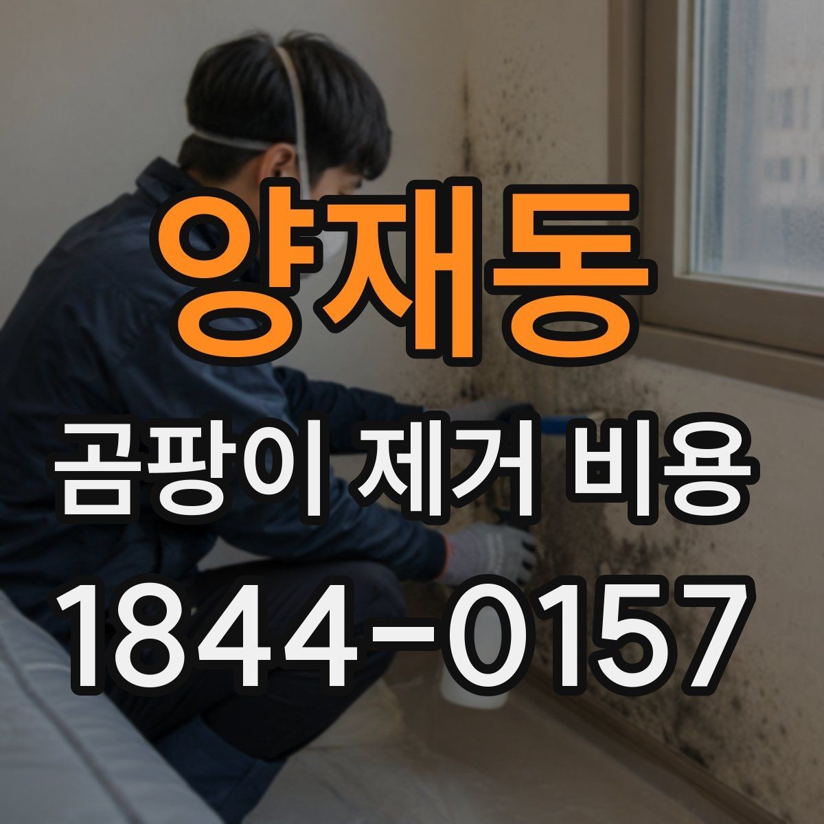 양재동 곰팡이 제거 비용 벽지 교체가 필요한지 판단하는 기준