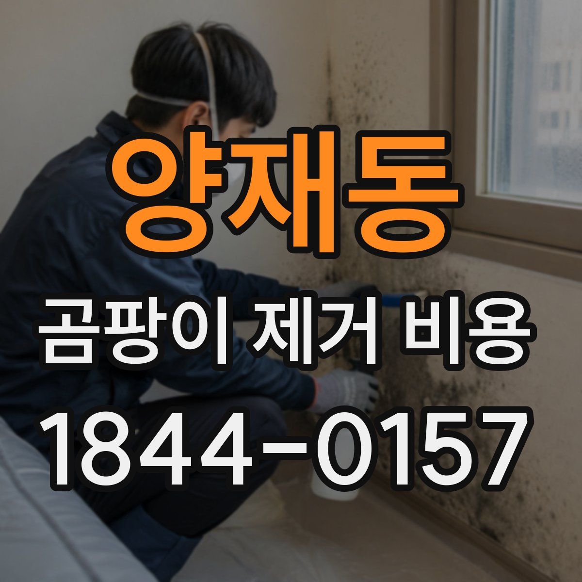 양재동 곰팡이 제거 비용