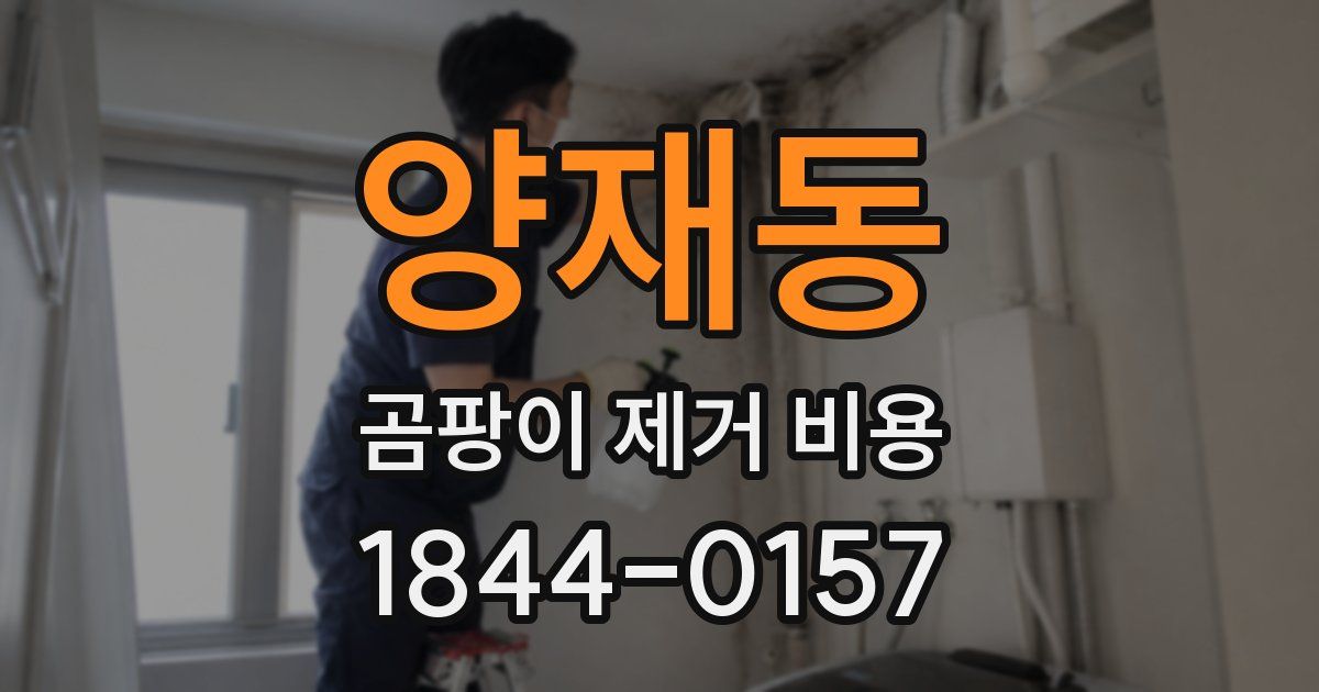 양재동 곰팡이 제거 비용