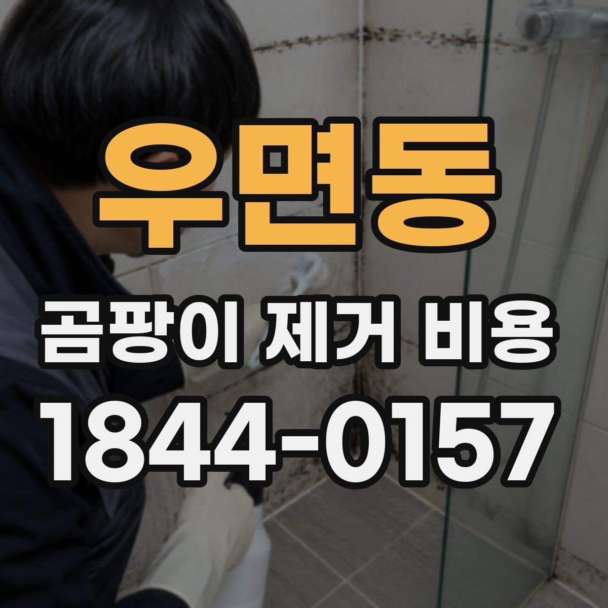 우면동 곰팡이 제거 비용 추가 복구비가 붙는 대표 상황