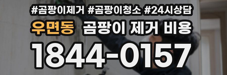 우면동 곰팡이 제거 비용