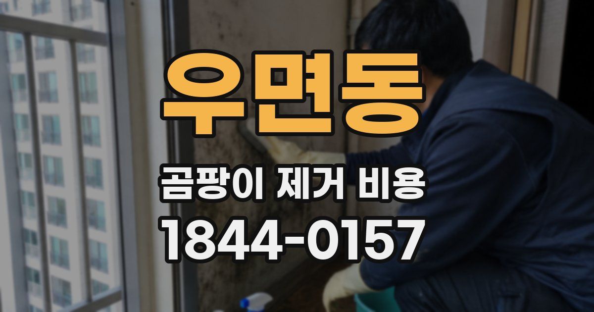 우면동 곰팡이 제거 비용