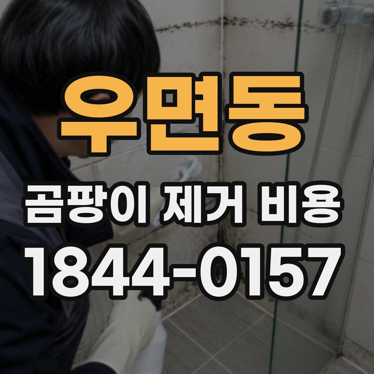 우면동 곰팡이 제거 비용