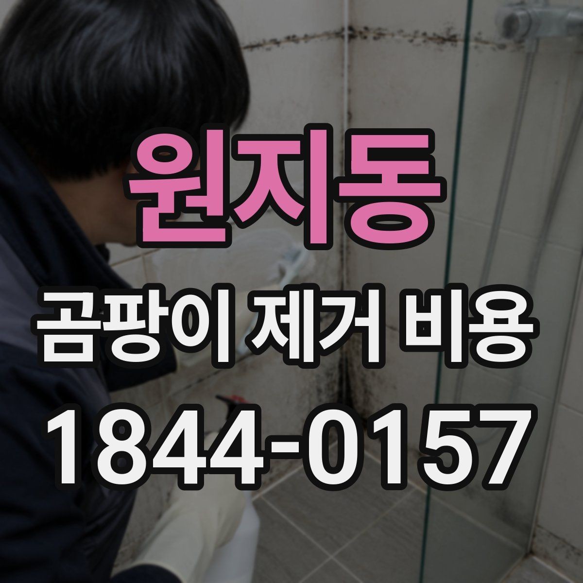 원지동 곰팡이 제거 비용 단열 보수까지 함께 볼 때의 체크포인트