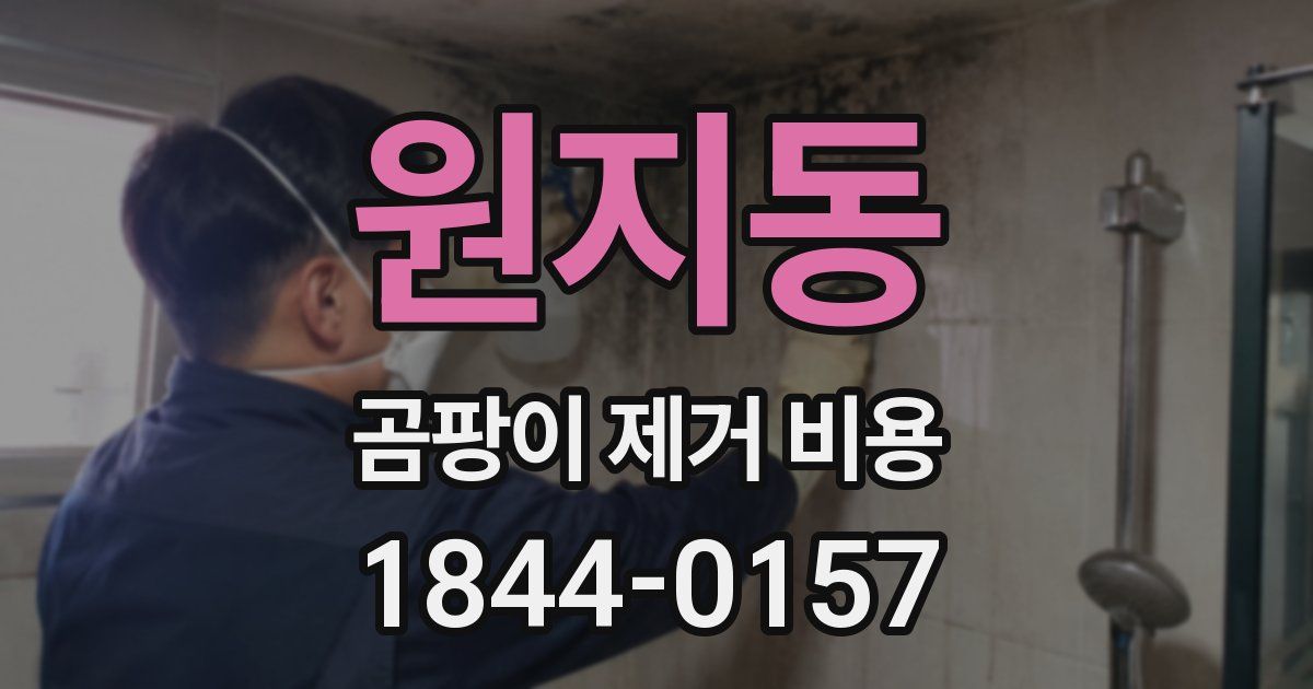 원지동 곰팡이 제거 비용